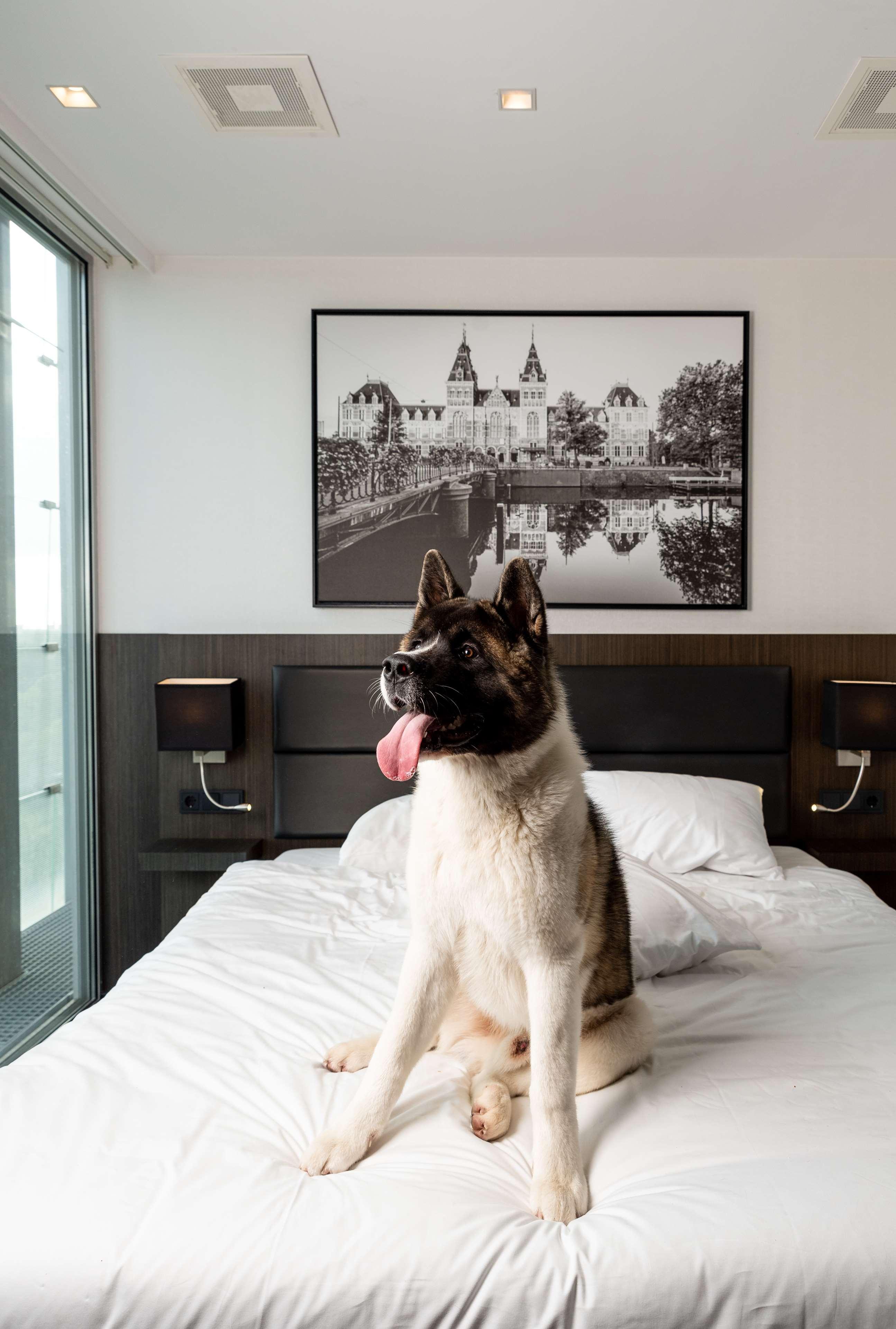 Radisson Hotel And Suites Amsterdam South Dış mekan fotoğraf
